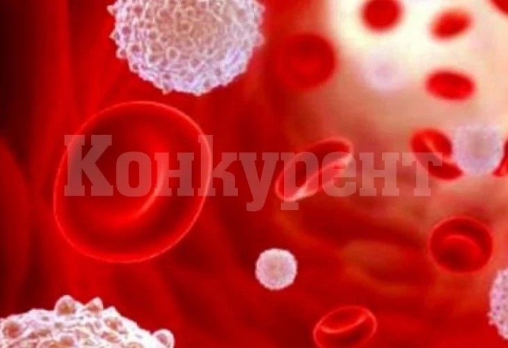 Откриха кръвните групи от какви видове рак се разболяват