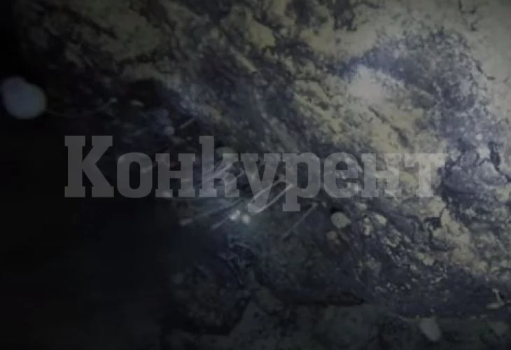 Случайно откриха нови форми на живот под леда на Антарктида ВИДЕО