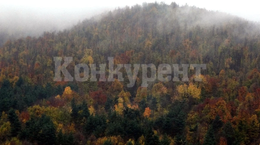 Осем типа местообитания пази НАТУРА 2000 в Макреш