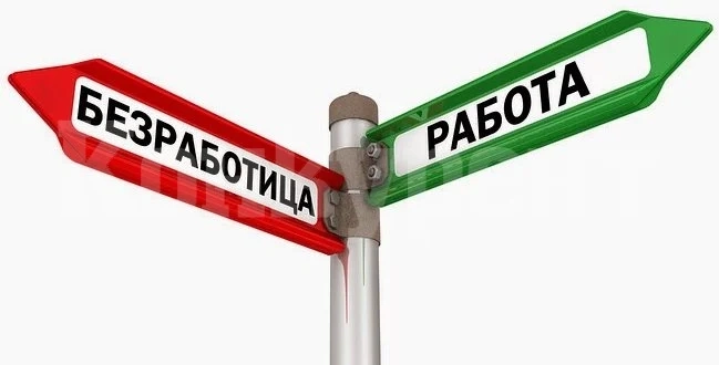 Намалява броят на заетия персонал във Видинско