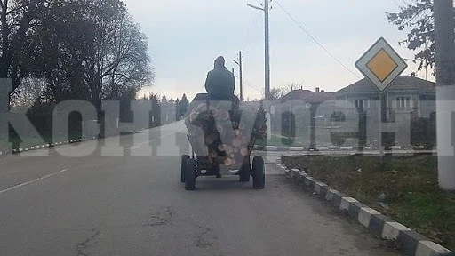 Хванаха две каруци с незаконни дърва