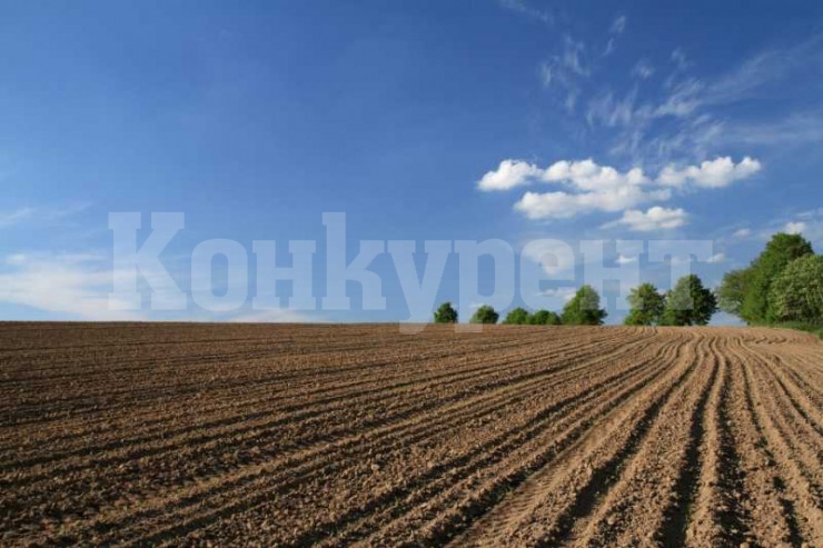Погода село нива