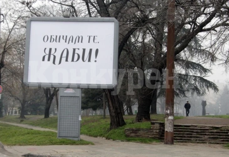 Странно обяснение в любов ошашави заралии СНИМКА