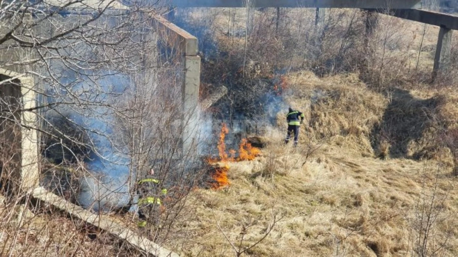 ОГНЕН АД: Баба подпали 4 коли в Коняво
