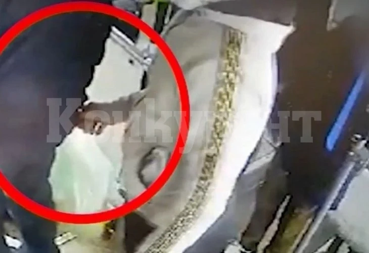 Страшна напаст от Румъния плъзна у нас насред пандемията