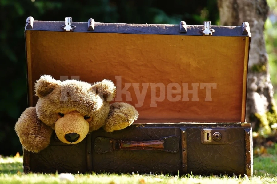 Събират пари за АГО-то във Враца на благотворителен базар