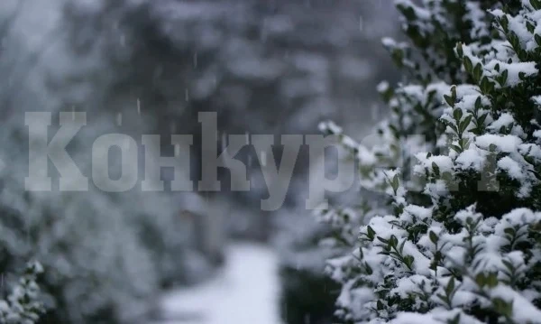Meteo Balkans показа страшни неща за Северозапада: До часове идат големи опасности!