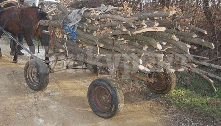 Хванаха двама с крадени дърва