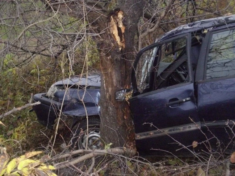 Млад шофьор загина след жесток удар в дърво