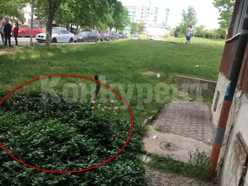 ТРАГЕДИЯ: Сляпа жена и дъщеря й скочиха от 7-и етаж на панелка