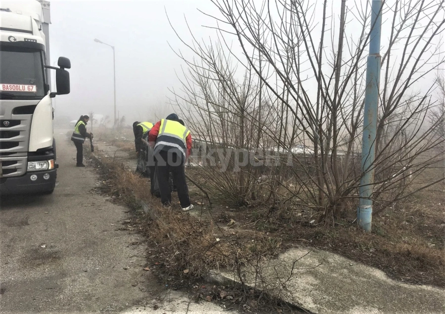 На 29 март започва пролетното почистване на град Видин