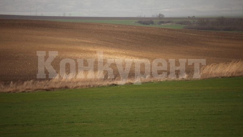 Продават на търг земя в село Говежда