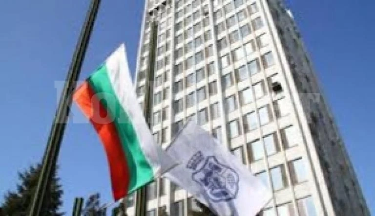 Отменя се събитието за раздаване на дръвчета във Видин, ще бъде насрочена нова дата