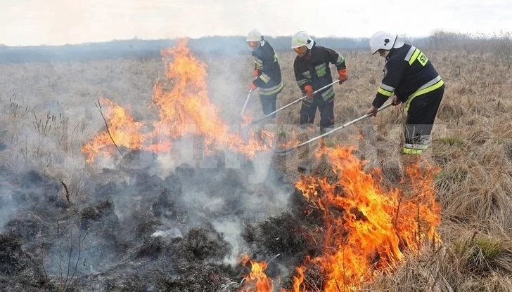 Огнеборци гасиха сухи треви