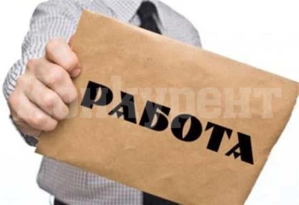 Вижте какви работници търсят шефовете във Видинско