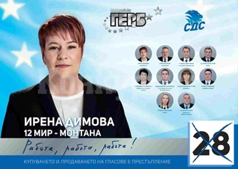 Ирена Димова: Необходим беше по-задълбочен политически анализ в тази кампания