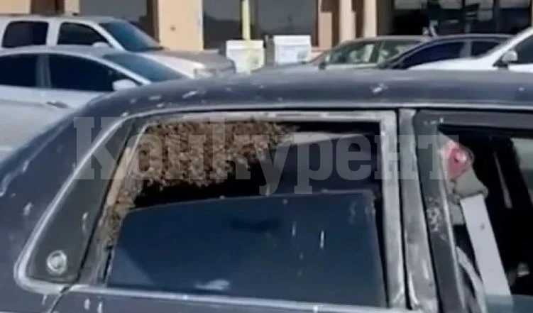 Мъж остави колата си на паркинг за 10 минути и когато се върна изпадна в див ужас ВИДЕО