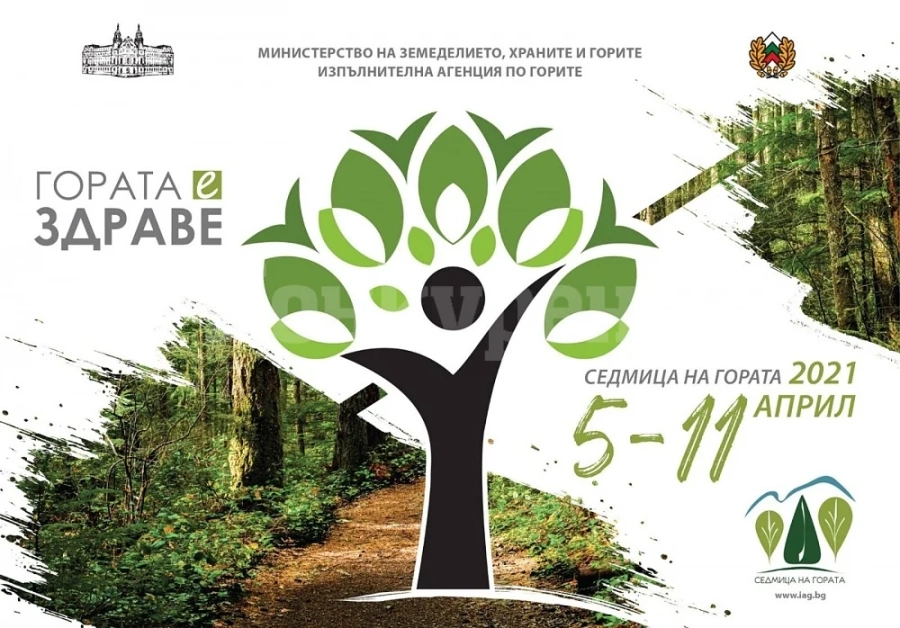 Във Враца отбелязват Седмицата на гората