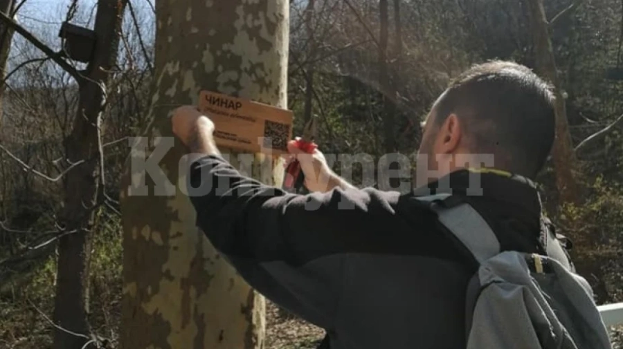Табели учат врачани кои са дървесните видове в града