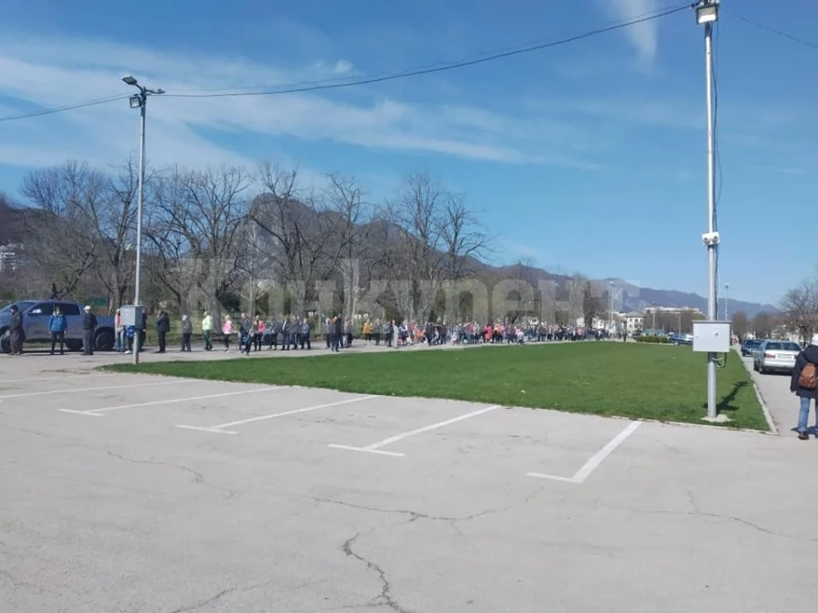 Голям интерес към инициативата на Гората.бг във Враца /СНИМКИ/