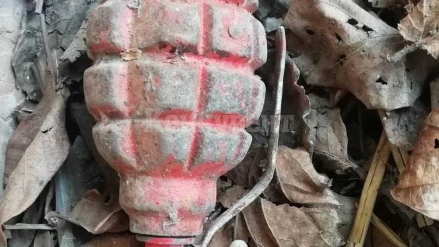 Намериха бойна граната със запалка в лозя