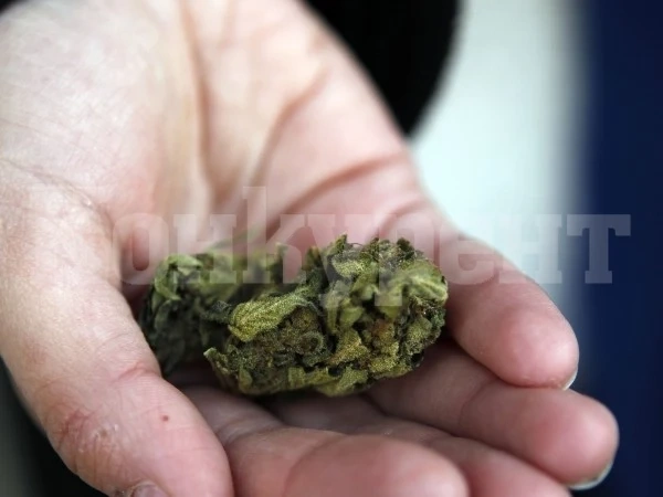 Спипаха тийнейджър да движи с канабис в джобовете по врачанските улици