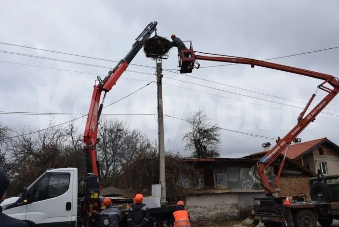 ЧЕЗ монтира 533 платформи за щъркелови гнезда