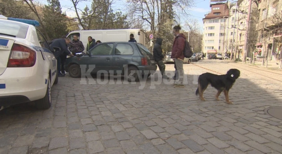 Ротвайлер нападна жена и уби кучето й в София