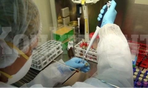 Хванаха българи с фалшиви PCR тестове на път за Испания