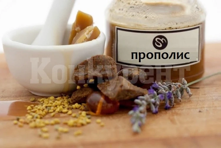 Прополисът - лек от древността за много болести
