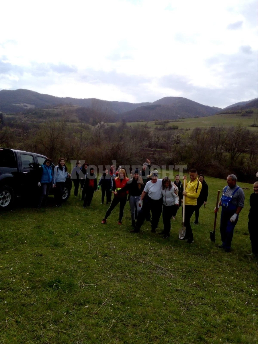 В Чипровци раздават безплатно на хората фиданки