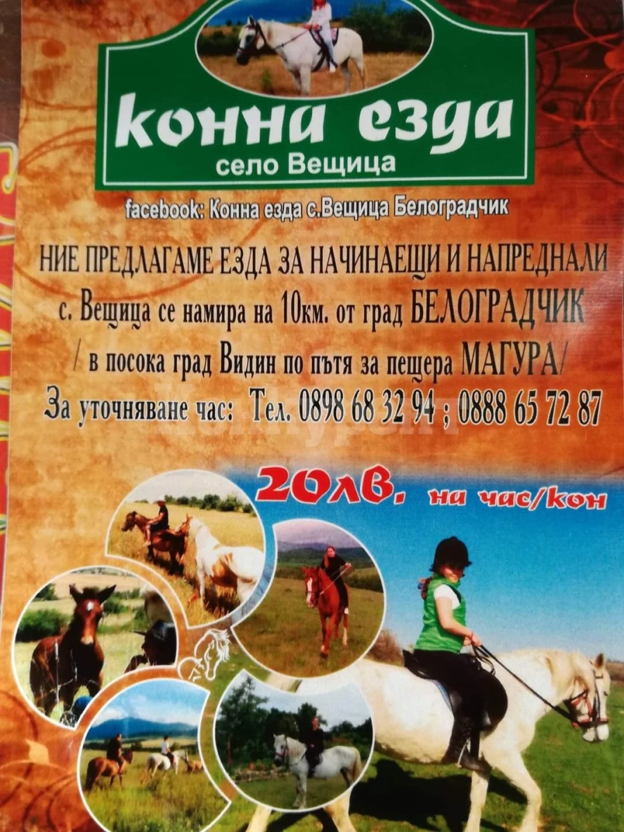 Във Вещица канят на конна езда