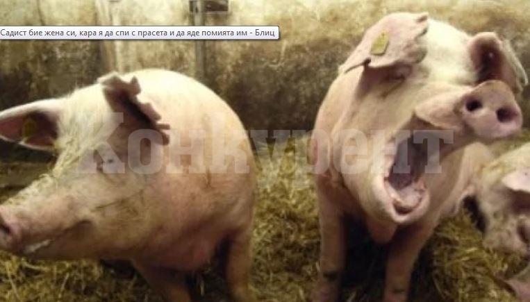 Садист бие жена си, кара я да спи с прасета и да яде помията им