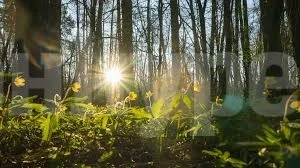 Ще е предимно слънчево