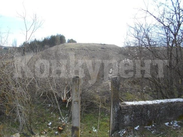 Продават за 1000 лева имот с руини от къща във врачанско село СНИМКИ