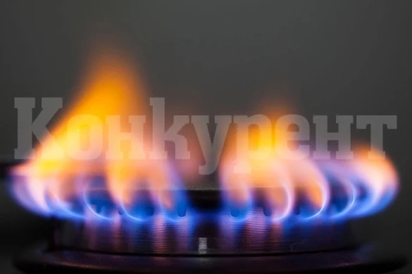 Разсеяна домакиня вдигна на крак блок в Лом