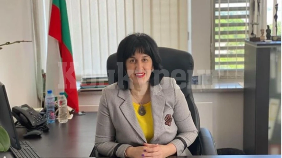 Близо 550 зрелостници ще държат матури във Видинско