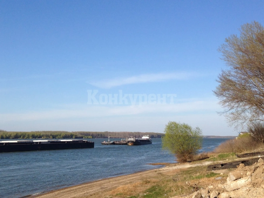 Организират почистване на брега на река Дунав в Лом