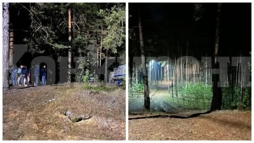 Зверство: Изверг сгащи 12-г. момиченце в гората, насили го и го закла