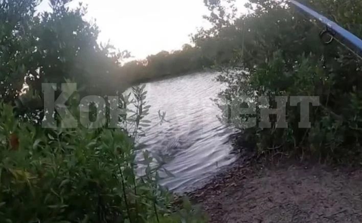 Страховито ВИДЕО: Алигатор излиза от водата и преследва рибар в гората