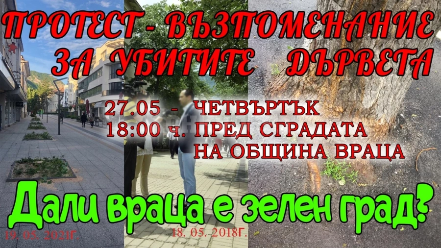 Организират протест- възпоменание за убитите дървета на Враца