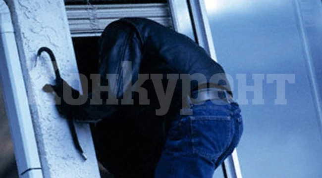 Апаш свалил комарник и отарашил къща