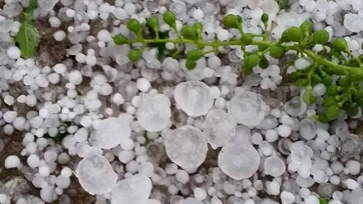 Внимание! Порои и градушки от сряда