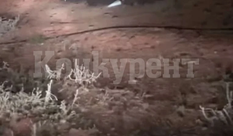 Безпрецедентно гнусна и опасна напаст вся паника в Нов Южен Уелс ВИДЕО