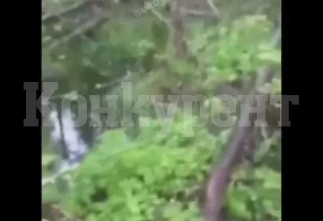 Откриха тялото на изчезнал ловец в гората, а ужасно ВИДЕО от телефона му разкри от каква смърт е умрял