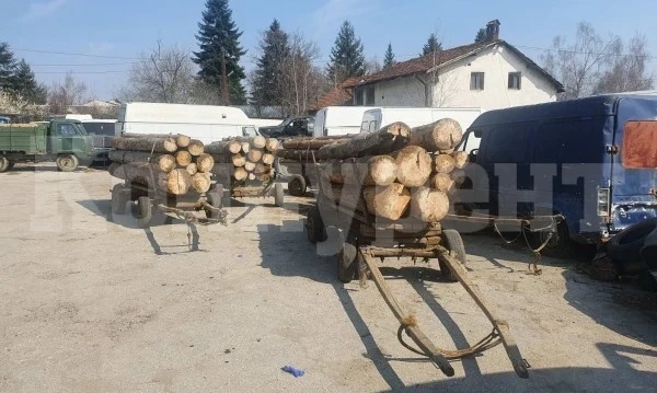 Хванаха три каруци с незаконни дърва, глобиха стопаните