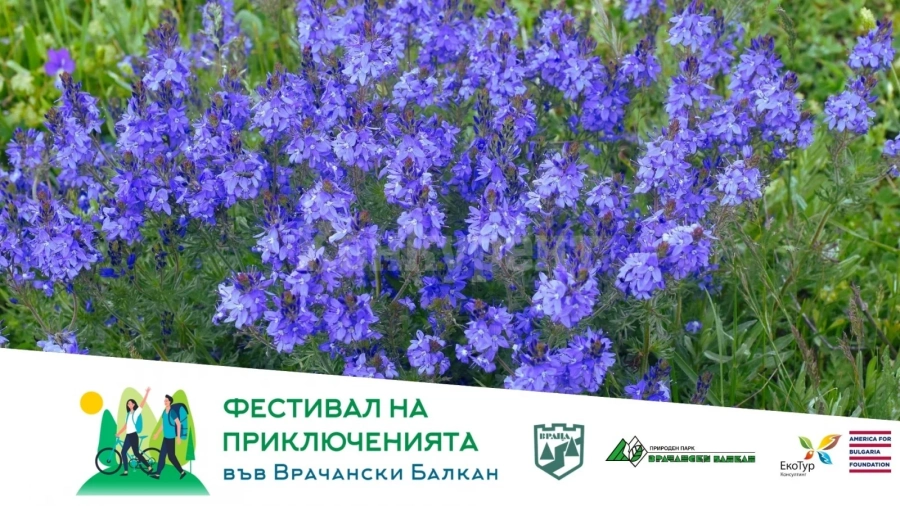 Организират (Етно) ботанически тур във Врачанския балкан