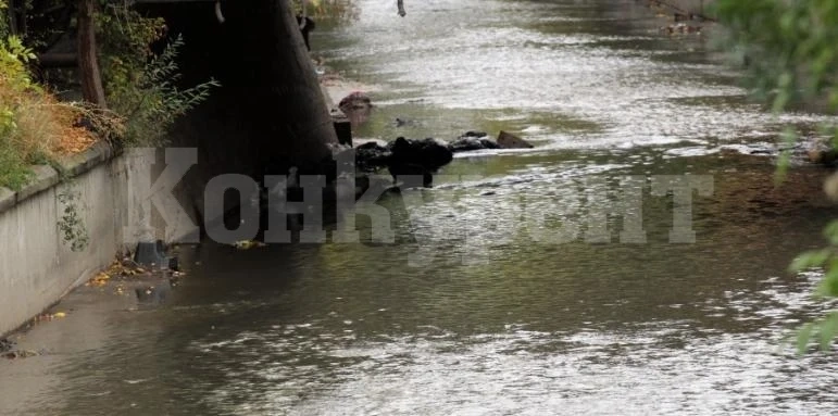 Наказание: Млад мъж бе обезглавен от роднини, защото бил хомосексуалист