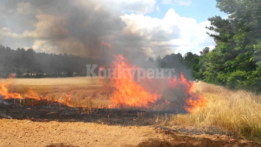 Пожари край гробищни паркове вдигнаха на крак огнеборци от Видин
