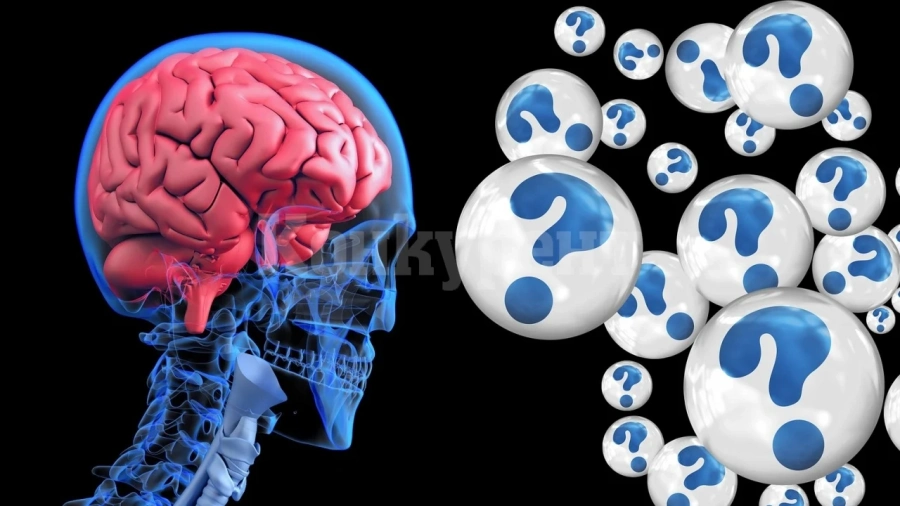 Одобриха първото лекарство за Алцхаймер за първи път от две десетилетия в САЩ